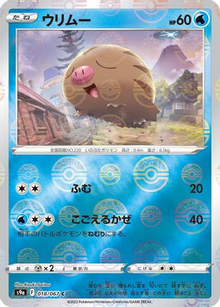 Swinub (Mirror Holofoil) 018/067 [S9a Battle Region] Holofoil (Japanese)
