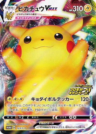 Pikachu VMAX 123/S-P [SP Sword & Shield Promos] Holofoil (Japanese)