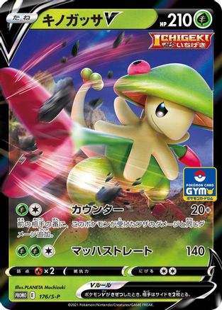 Breloom V 176/S-P [SP Sword & Shield Promos] Holofoil (Japanese)