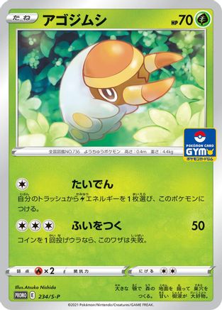 Grubbin 234/S-P [SP Sword & Shield Promos] (Japanese)