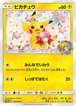 Pikachu 224/SM-P [SMP Sun & Moon Promos] (Japanese)