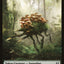 Beast // Saproling Double-Sided Token [Zendikar Rising Commander Tokens]