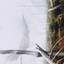 Swamp // Swamp (ADMU-064) - Dominaria United Art Series (Borderless)
