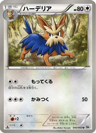 Herdier 043/053 [BW1 White Collection] 1st Edition (Japanese)