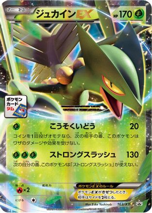Sceptile EX 163/XY-P [XYP XY Promos] Holofoil (Japanese)