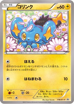 Shinx 178/XY-P [XYP XY Promos] (Japanese)