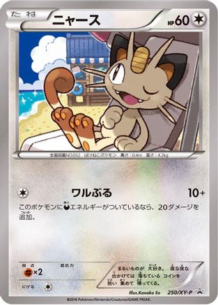 Meowth 250/XY-P [XYP XY Promos] (Japanese)