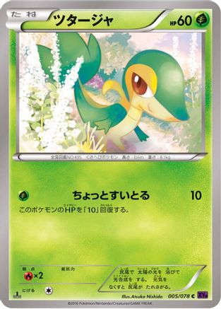 Snivy 005/078 [XY10 Awakening Psychic King] Unlimited (Japanese)