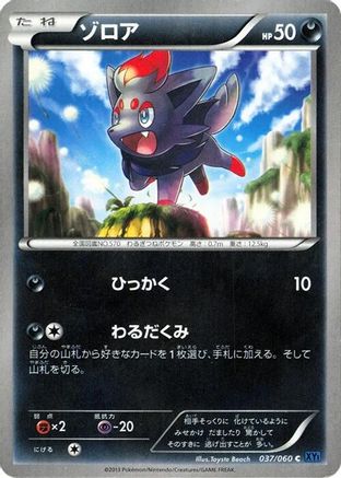 Zorua 037/060 [XYBx Collection X] Unlimited (Japanese)