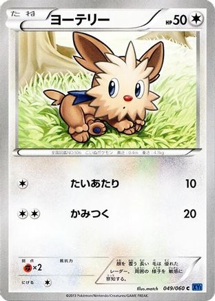 Lillipup 049/060 [XYBx Collection X] 1st Edition (Japanese)