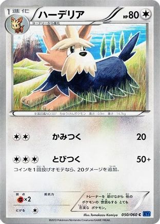Herdier 050/060 [XYBx Collection X] 1st Edition (Japanese)