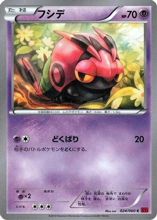 Venipede 024/060 [XYBy Collection Y] Unlimited (Japanese)
