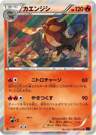 Pyroar 009/054 [XY11Bb FeverBurst Fighter] Unlimited Holofoil (Japanese)