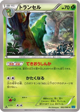 Metapod 002/080 [XY2 Wild Blaze] 1st Edition (Japanese)