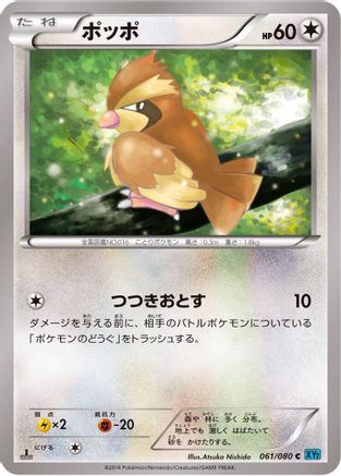 Pidgey 061/080 [XY2 Wild Blaze] 1st Edition (Japanese)