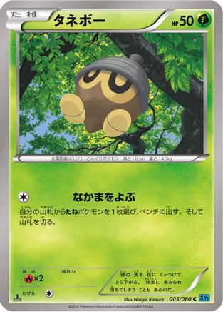 Seedot 005/080 [XY2 Wild Blaze] 1st Edition (Japanese)