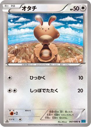 Sentret 067/080 [XY2 Wild Blaze] Unlimited (Japanese)