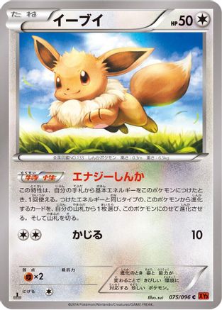 Eevee 075/096 [XY3 Rising Fist] 1st Edition (Japanese)