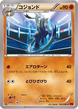 Mienshao 055/096 [XY3 Rising Fist] Unlimited (Japanese)