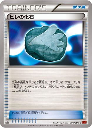 Sail Fossil 086/096 [XY3 Rising Fist] Unlimited (Japanese)
