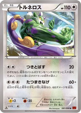 Tornadus 081/096 [XY3 Rising Fist] Unlimited (Japanese)