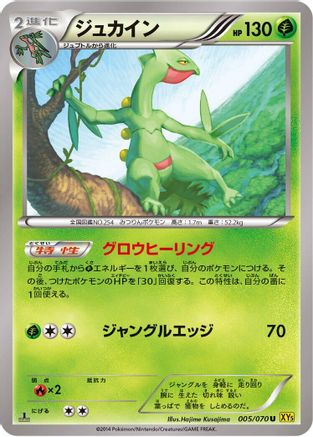 Sceptile 005/070 [XY5Bg Gaia Volcano] 1st Edition (Japanese)