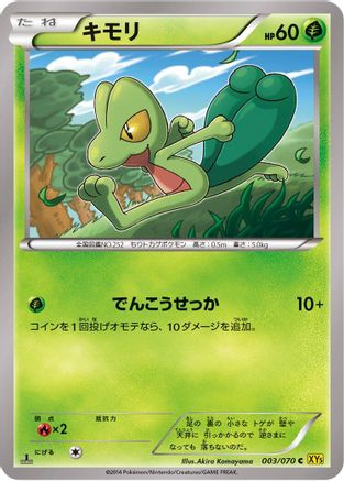 Treecko 003/070 [XY5Bg Gaia Volcano] 1st Edition (Japanese)