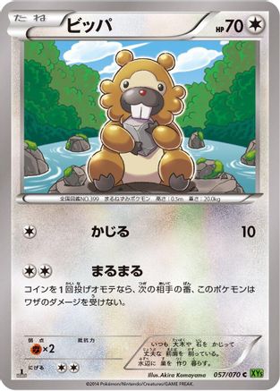 Bidoof 057/070 [XY5Bt Tidal Storm] 1st Edition (Japanese)