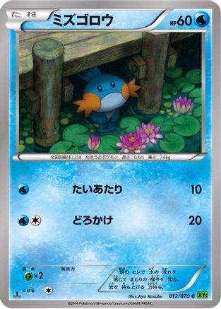 Mudkip 012/070 [XY5Bt Tidal Storm] 1st Edition (Japanese)
