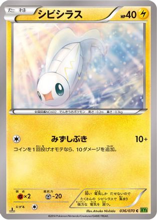 Tynamo 036/070 [XY5Bt Tidal Storm] Unlimited (Japanese)