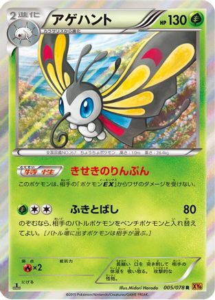 Beautifly 005/078 [XY6 Emerald Break] Unlimited Holofoil (Japanese)