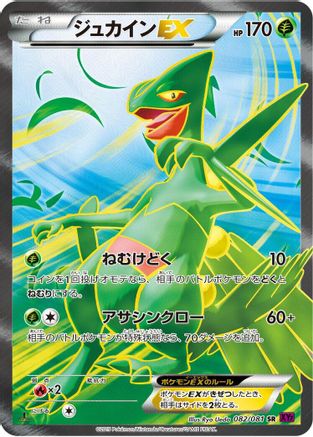 Sceptile EX 082/081 [XY7 Bandit Ring] 1st Edition Holofoil (Japanese)