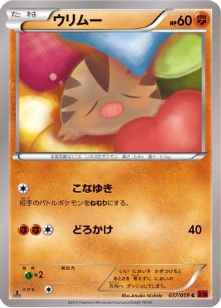 Swinub 037/059 [XY8Br Red Flash] Unlimited (Japanese)