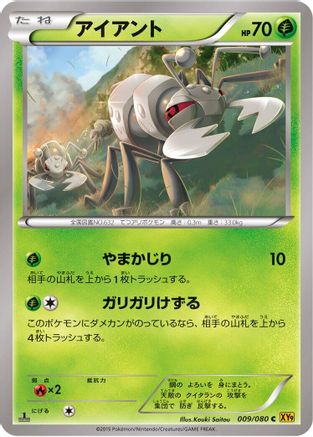 Durant 009/080 [XY9 Rage of the Broken Heavens] Unlimited (Japanese)