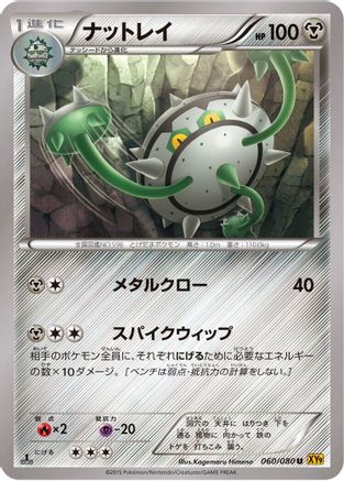 Ferrothorn 060/080 [XY9 Rage of the Broken Heavens] 1st Edition (Japanese)