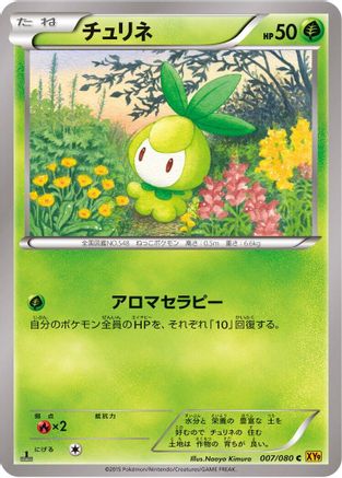 Petilil 007/080 [XY9 Rage of the Broken Heavens] Unlimited (Japanese)
