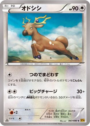 Stantler 067/080 [XY9 Rage of the Broken Heavens] 1st Edition (Japanese)