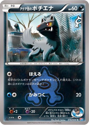 Team Aqua's Poochyena 016/034 [CP1 Magma Gang vs Aqua Gang Double Crisis] 1st Edition (Japanese)