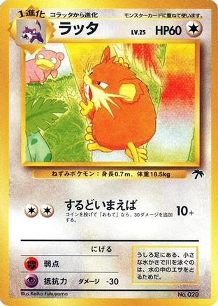 Raticate [Southern Island] (Japanese)