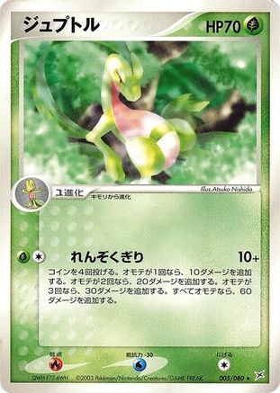 Grovyle 005/080 [Magma VS Aqua Two Ambitions] 1st Edition (Japanese)