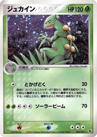 Sceptile 003/055 [ADV Expansion Pack] Unlimited Holofoil (Japanese)