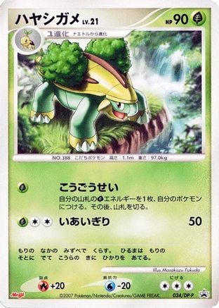 Grotle 034/DP-P [DPP Promotional cards] (Japanese)