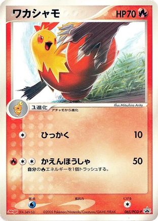 Combusken 065/PCG-P [PCGP Promotional cards] (Japanese)