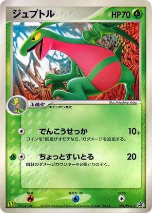 Grovyle 081/PCG-P [PCGP Promotional cards] (Japanese)