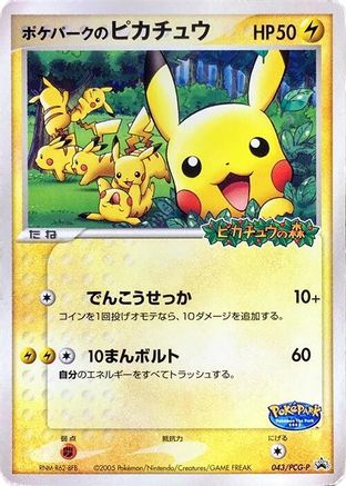 PokePark's Pikachu 043/PCG-P [PCGP Promotional cards] (Japanese)