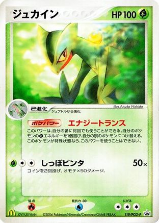 Sceptile 119/PCG-P [PCGP Promotional cards] (Japanese)