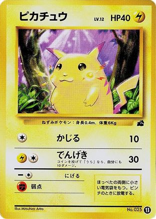 Pikachu 013 [Intro Pack Bulbasaur] (Japanese)