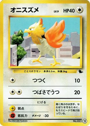 Spearow 013 [Intro Pack Squirtle] (Japanese)