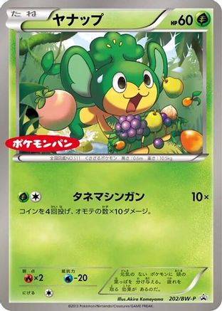 Pansage 202/BW-P [BWP Promotional cards] (Japanese)