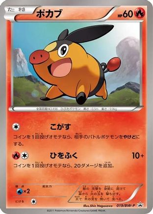 Tepig 019/BW-P [BWP Promotional cards] (Japanese)
